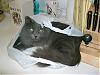 Click image for larger version

Name:	Chester in a Bag.jpg
Views:	767
Size:	25.1 KB
ID:	375